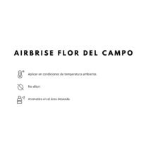 MODO DE USO PRODUCTO AIRBRISE FLOR DE CAMPO AIRBRISE FLOR DEL CAMPO