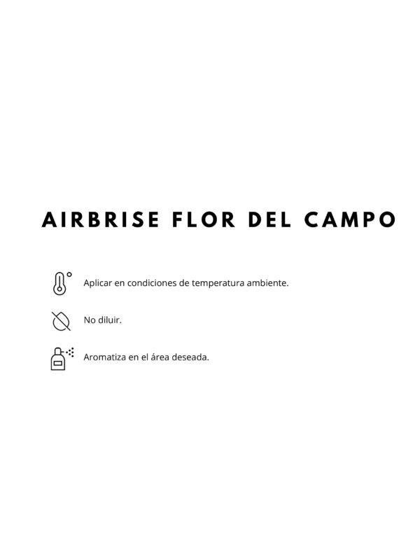 MODO DE USO PRODUCTO AIRBRISE FLOR DE CAMPO AIRBRISE FLOR DEL CAMPO